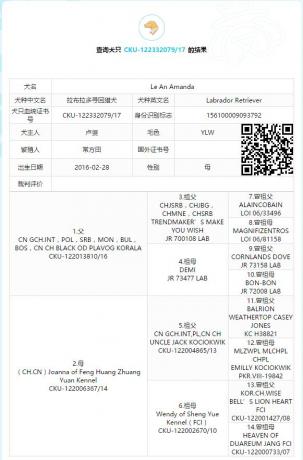 点击查看原图 sofei.jpg